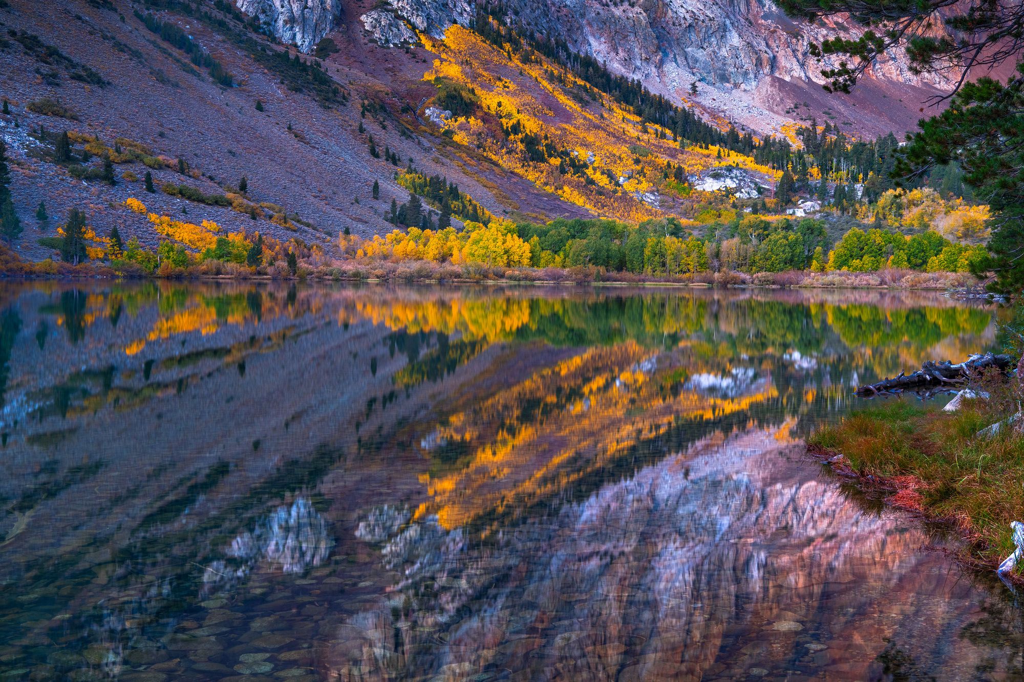 Parker Lake, CA - Fall Color