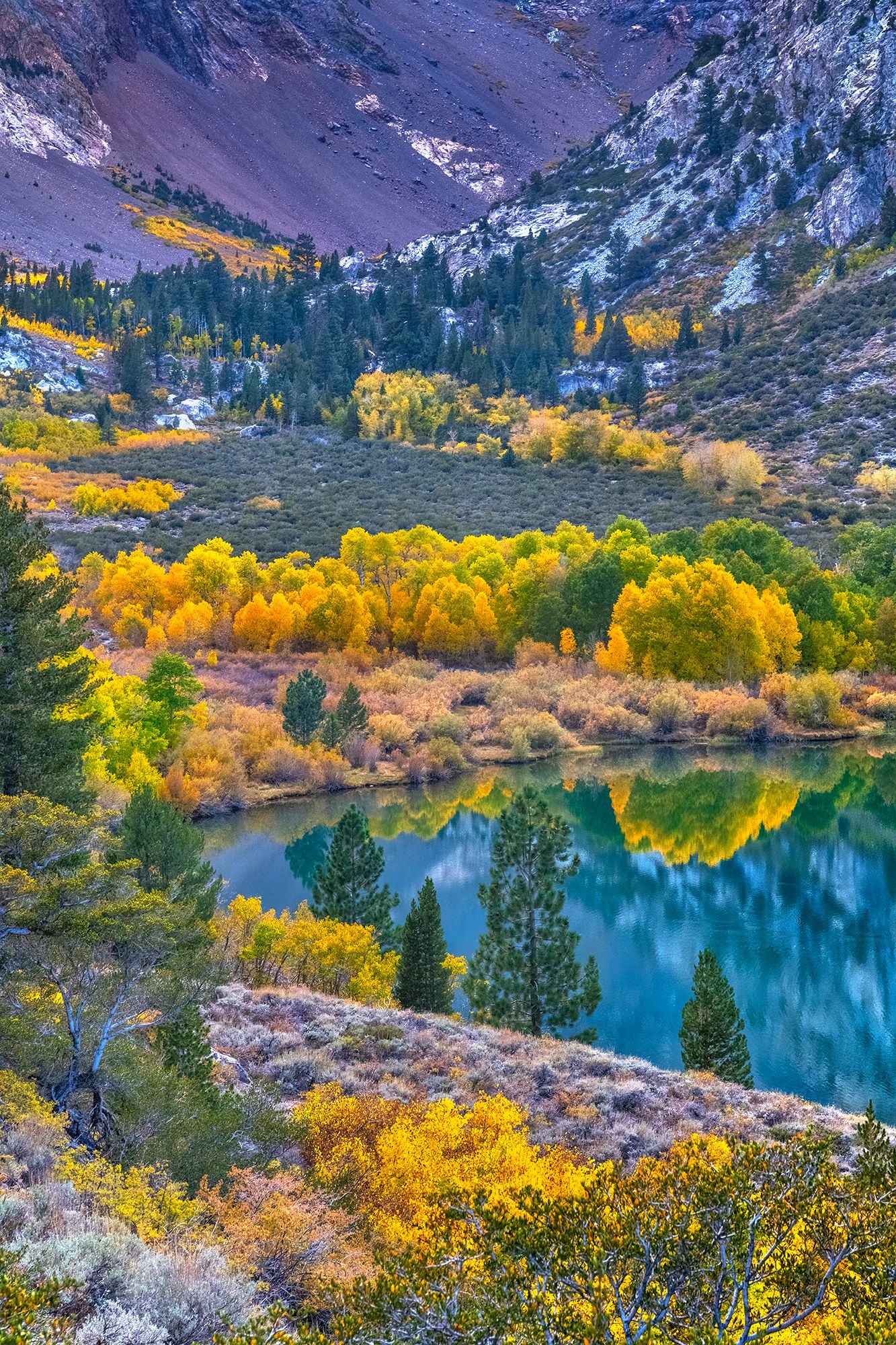 A Father, Son and a dose of Fall