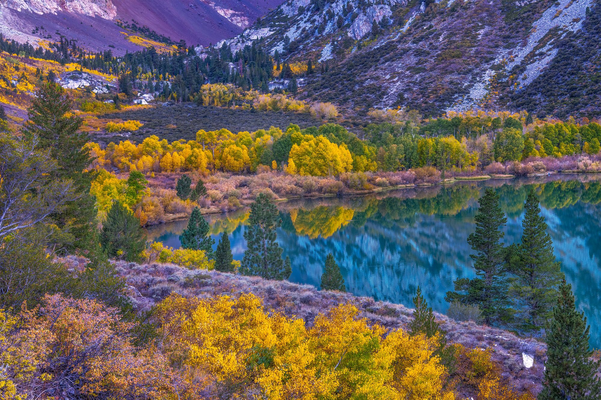 A Father, Son and a dose of Fall